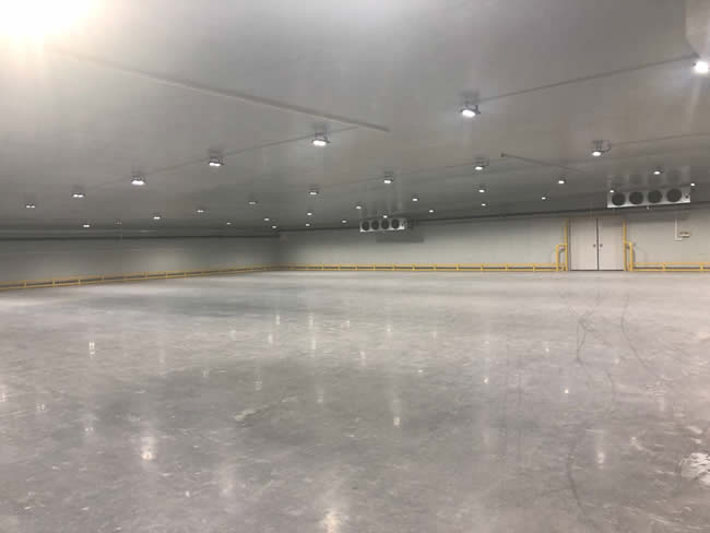 凍魚(yú)冷庫(kù)