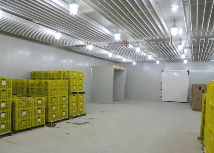 低溫冷庫(kù)溫度多少合適？是否越低越好