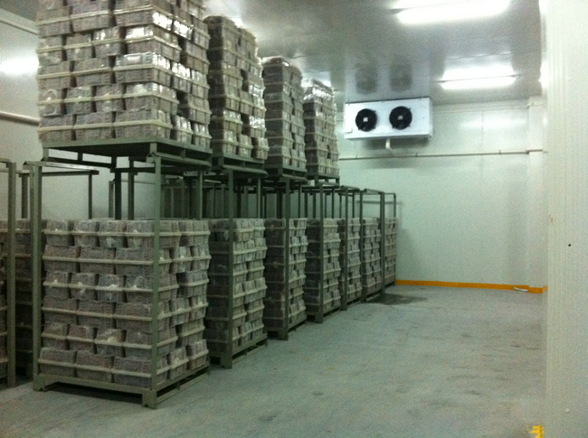 冷庫裝什么燈合適？冷庫燈和普通燈有有什么區(qū)別